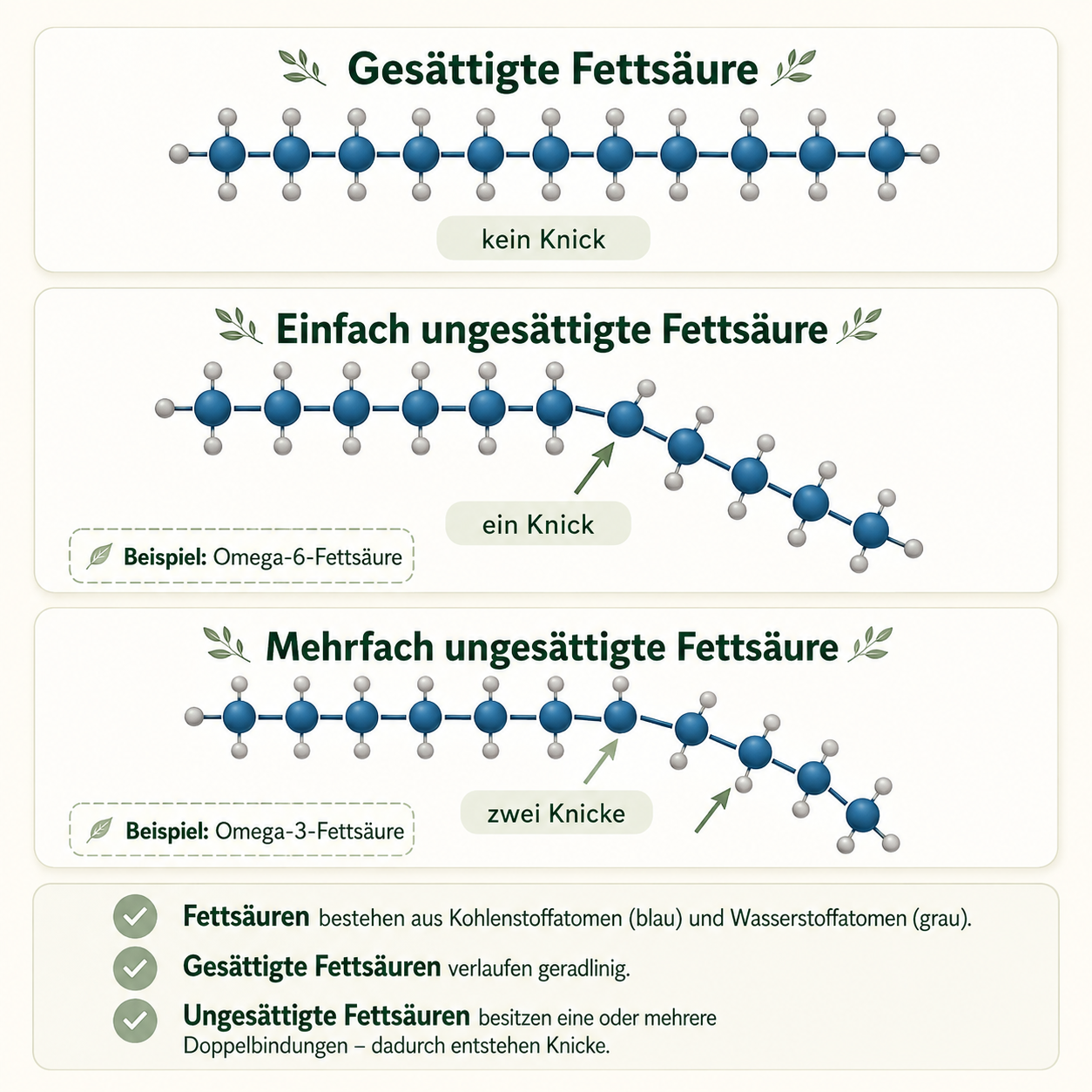 Infografik: Gesättigte, einfach und mehrfach ungesättigte Fettsäuren mit Kohlenstoff- und Wasserstoffatomen – gezeigt anhand von Omega-6 und Omega-3 für pflanzliche Fette in Babynahrung